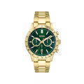 Hugo Boss Allure Gold Plated Watch Green