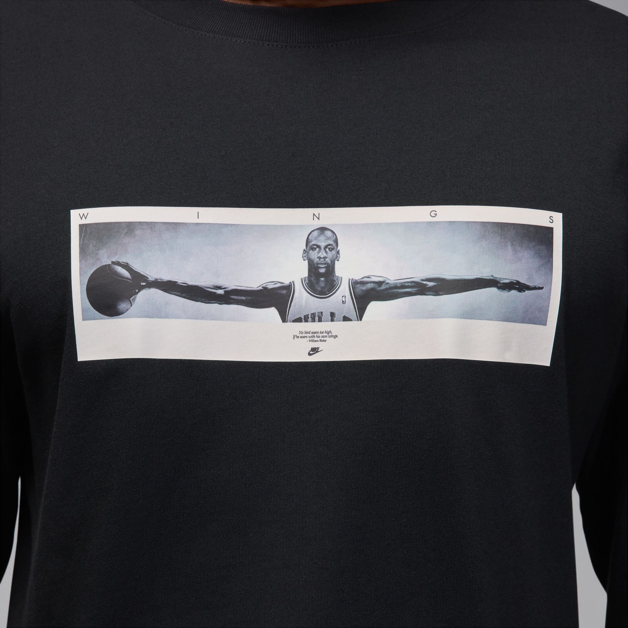 Air Jordan 5 Retro MJ Brand Wings Photo LS Crew Shirt
