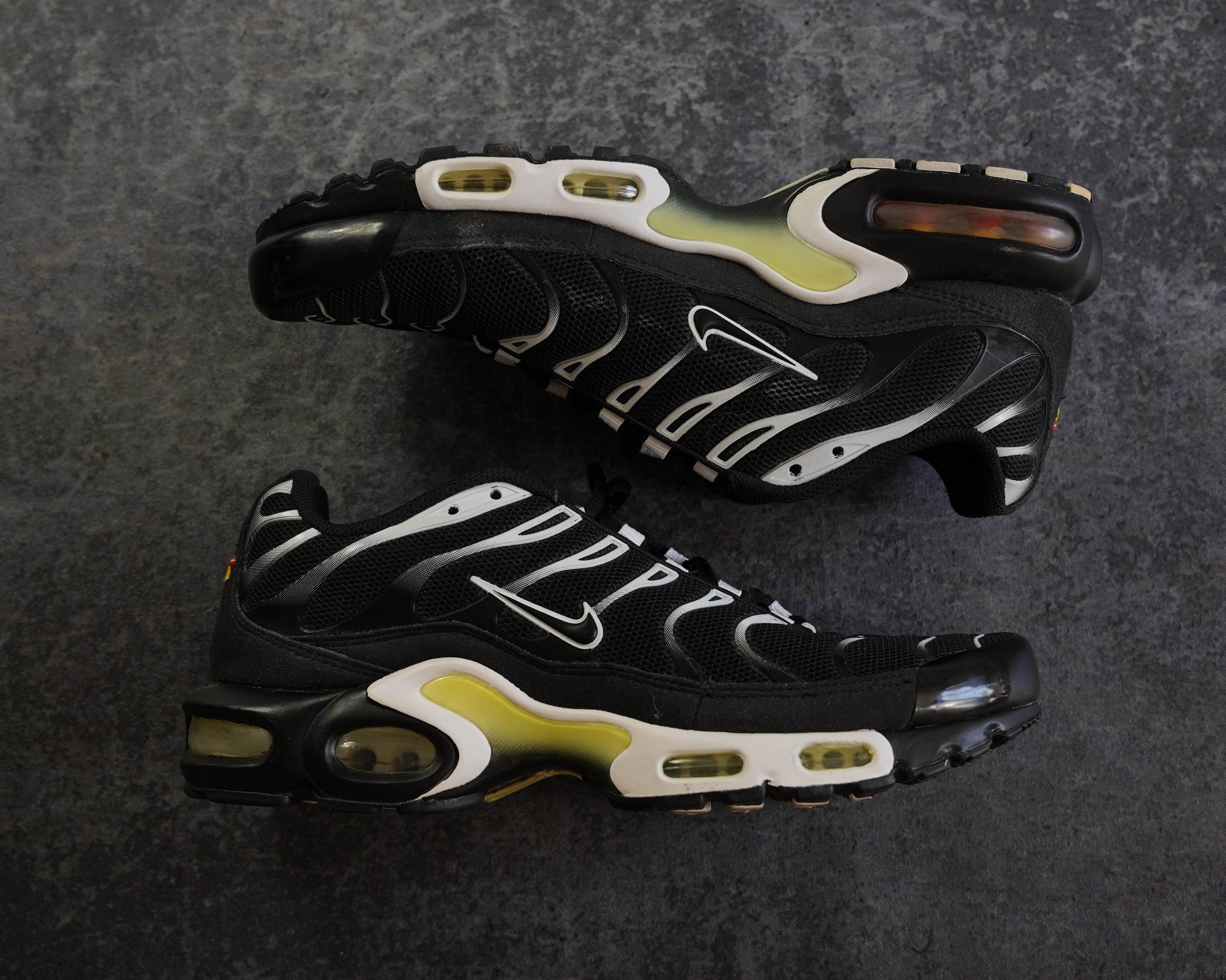 Nike TN Airmax Plus (42)